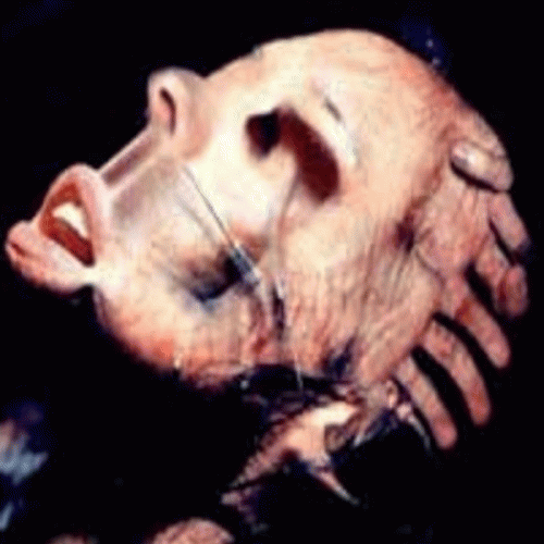 Velvet Acid Christ : Dimension 8